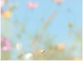 “It's already been written, not only for the whole the world but for the entire universe.